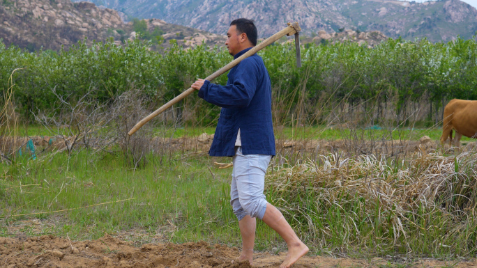 农民扛农具上山干活