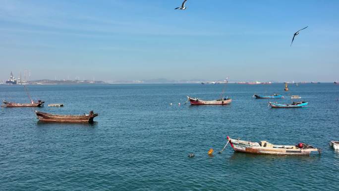 海湾 渔船 海边 海鸥