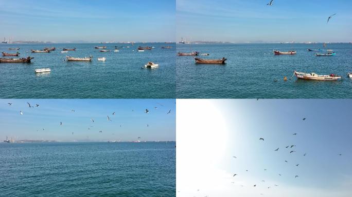 海湾 渔船 海边 海鸥