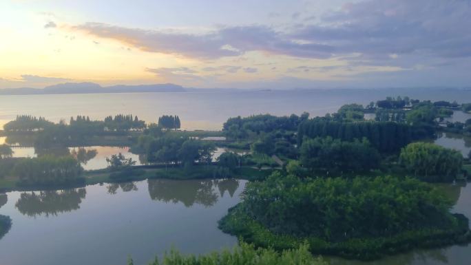 夕阳下的滇池湿地