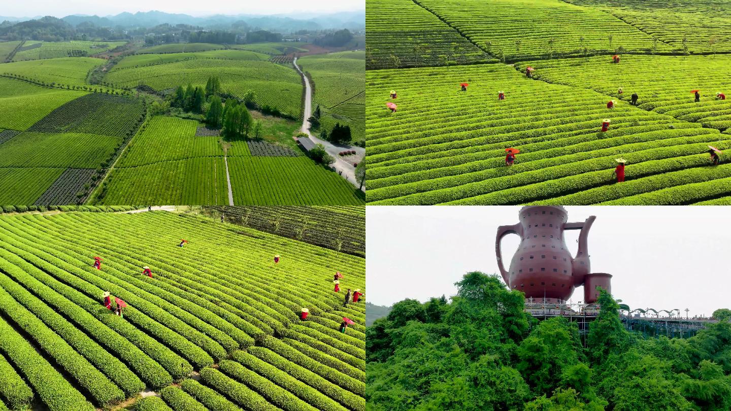 湄潭---茶园与茶壶