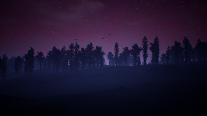 针叶林上空神秘的夜空