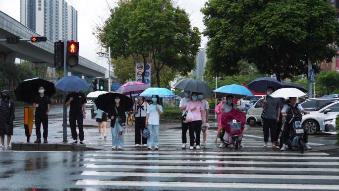 4K正版-下雨天撑伞等待过马路的行人
