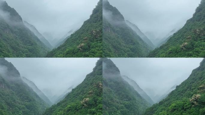 航拍浙江绍兴诸暨马剑峡谷群山云雾峡谷森林