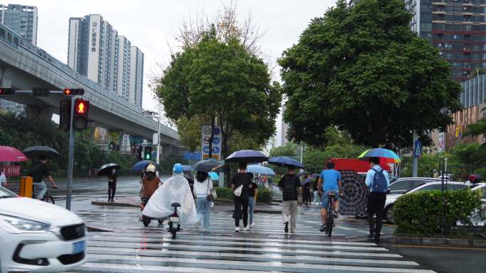 4K正版-下雨天撑伞等待过马路的行人