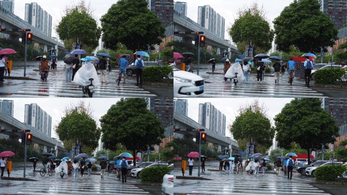 4K正版-下雨天撑伞等待过马路的行人