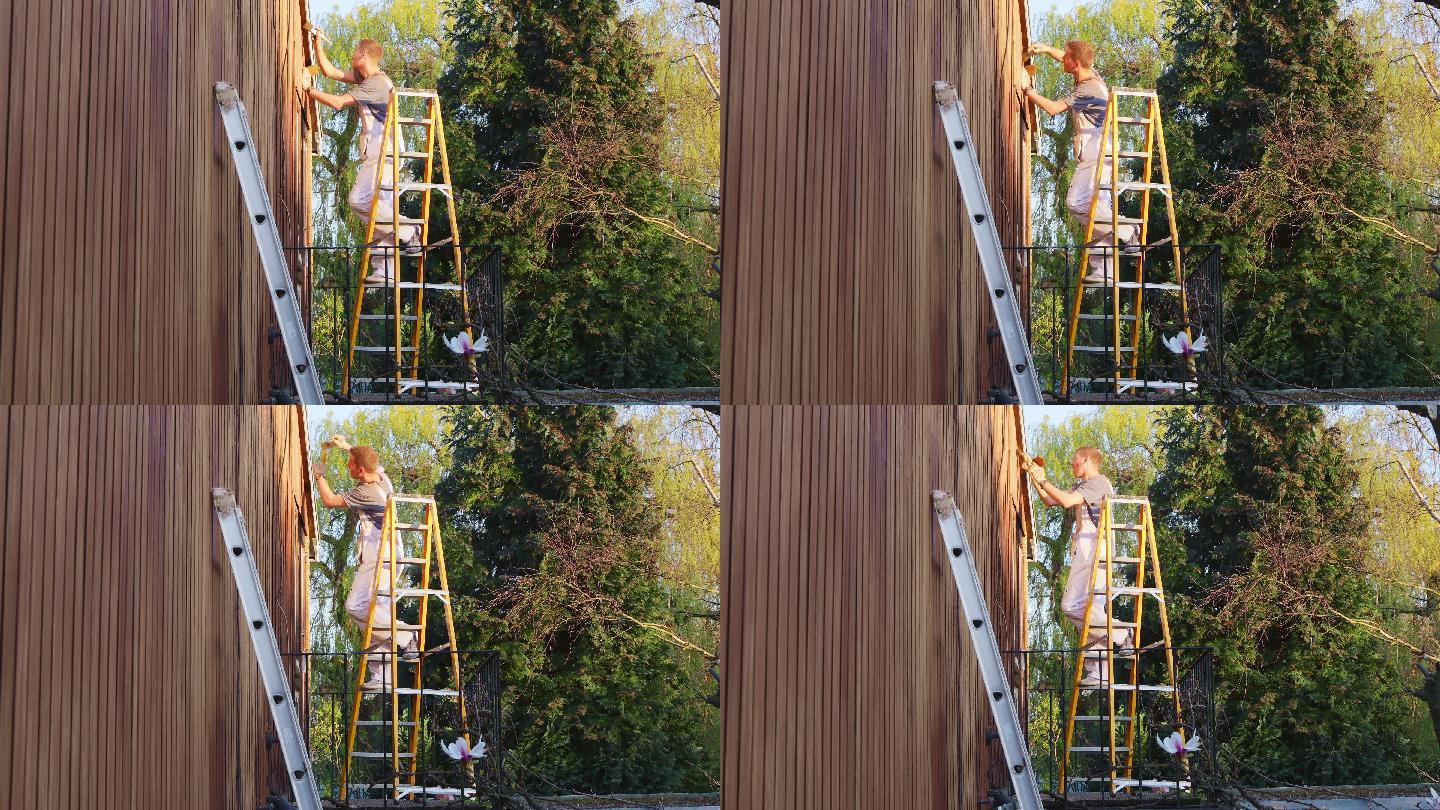 梯子上的男油漆工对房屋外部的木质壁板进行了染色