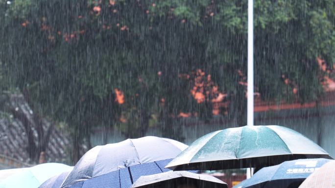 4K正版-暴雨中的雨滴-撑伞的人群