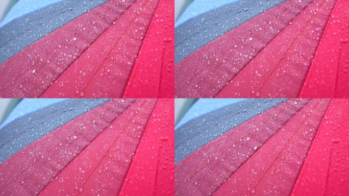 4K正版-下雨天雨滴落在彩色伞面上