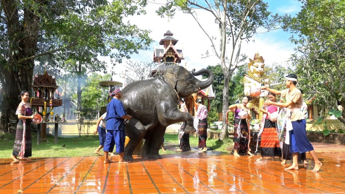 4K泼水节——美丽的女人和男人穿着传统的泰国服装，在寺庙背景上用大象泼水