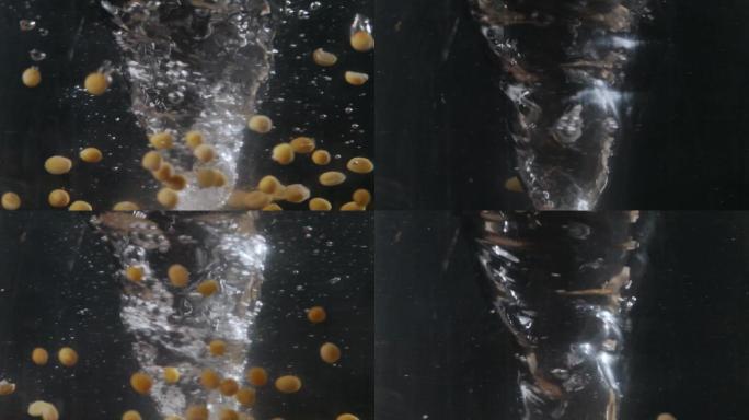 黄豆落入水中旋转