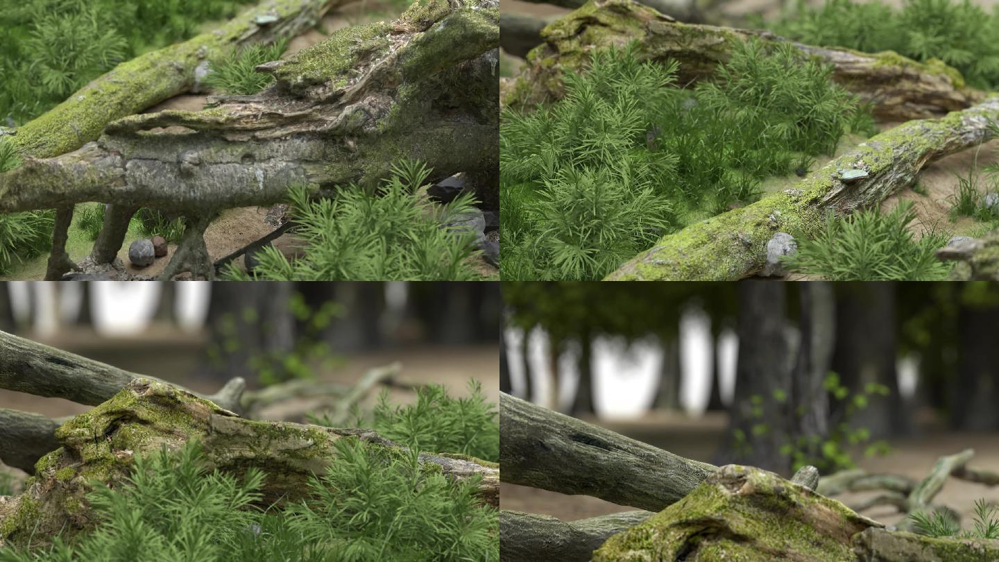 森林写实穿梭动画视频素材