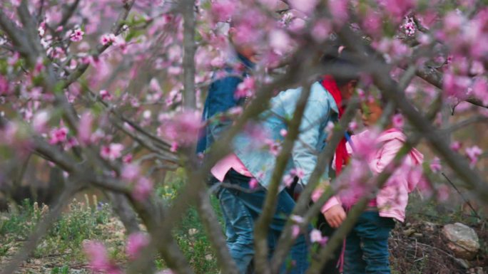 百花齐放 游园观赏 追逐打闹 春暖花开