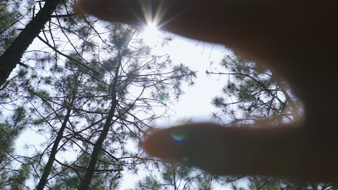 树林中手挡阳光、指缝中的时光