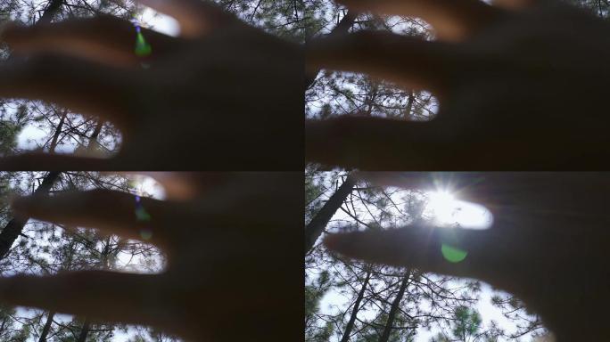 树林中手挡阳光、指缝中的时光