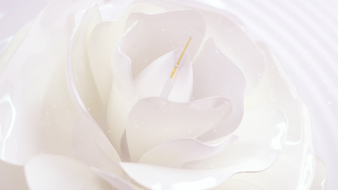 白色玫瑰花散发粒子化妆品植物精华萃取素材
