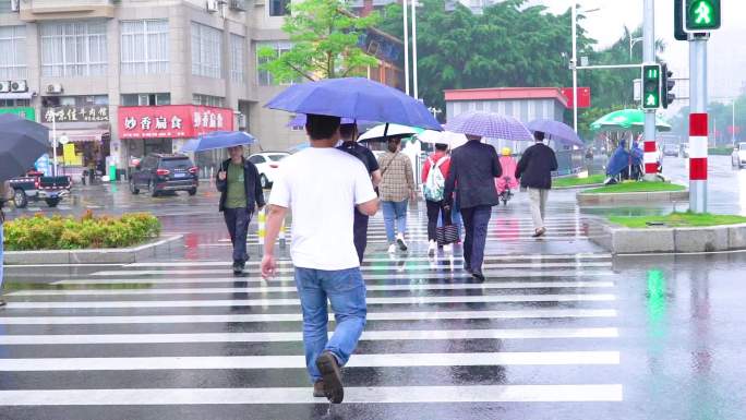 雨中斑马线上的行人