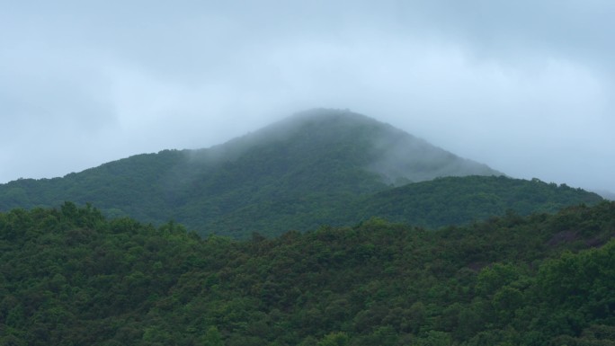 雨雾缭绕的山