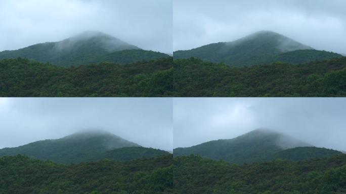 雨雾缭绕的山