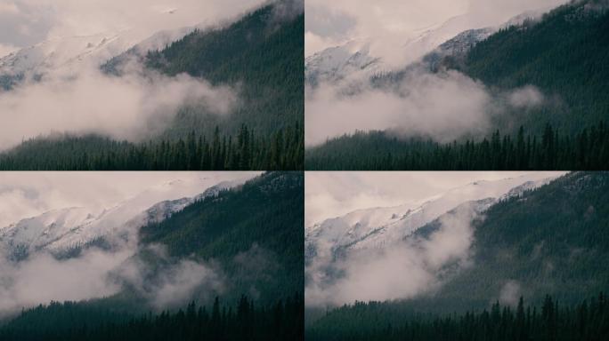 山中清雾