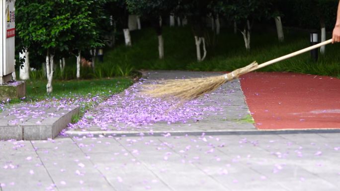 清扫掉落的花瓣