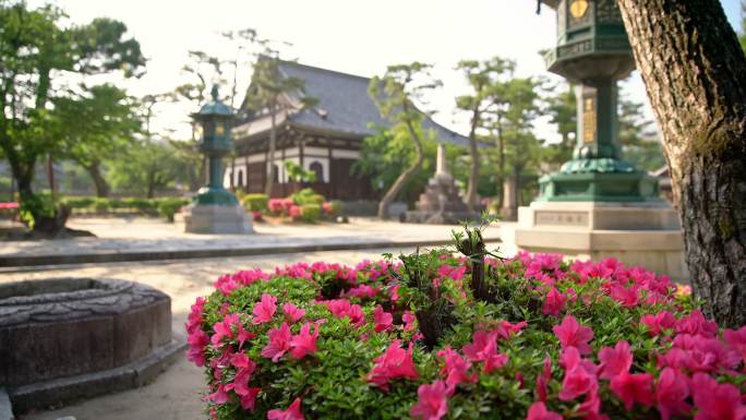 这是一座美丽的寺庙后院