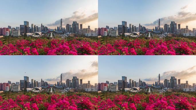 市花前的深圳市民中心