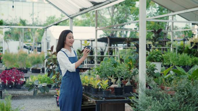 这家树店的老板是一位美丽的亚洲女性。