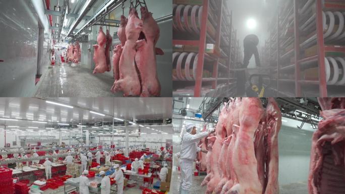 冷鲜肉牲畜猪屠宰加工运输