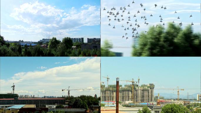城市美景 郊外风光 城市发展 鸟群翱翔