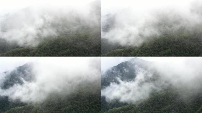 航拍原始森林 云雾 森林