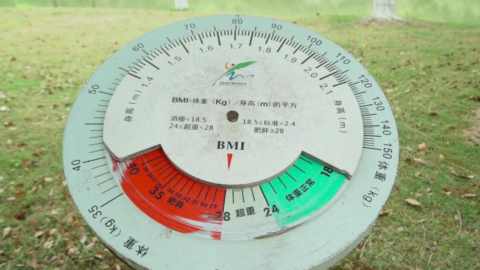 BMI测量