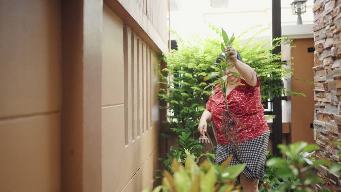 老年女性在家后院种植和装饰树木