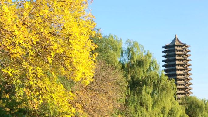 北京大学 中国北京 未名湖 博雅塔