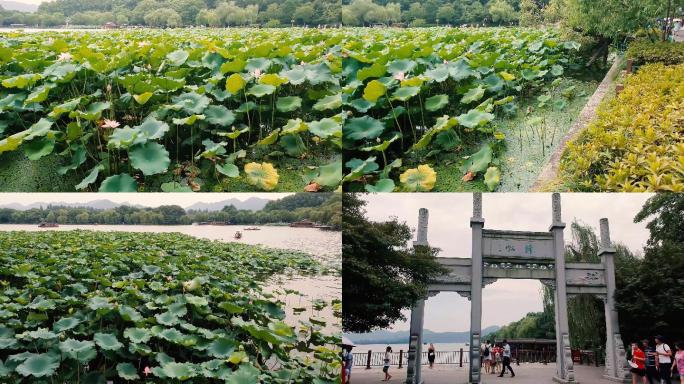 4K杭州西湖西冷桥西夏景