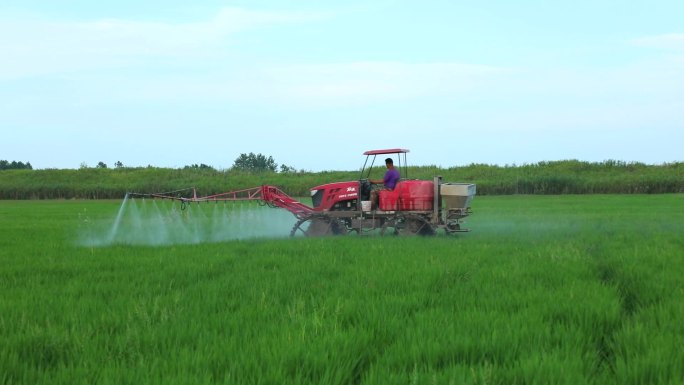 水稻 机械打药 除草 病虫害 喷雾 农药