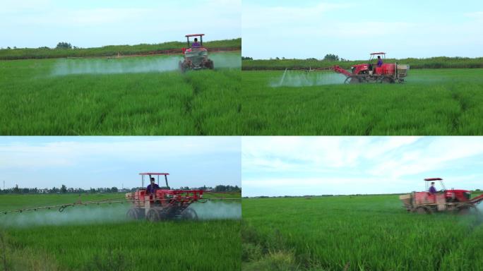 水稻 机械打药 除草 病虫害 喷雾 农药
