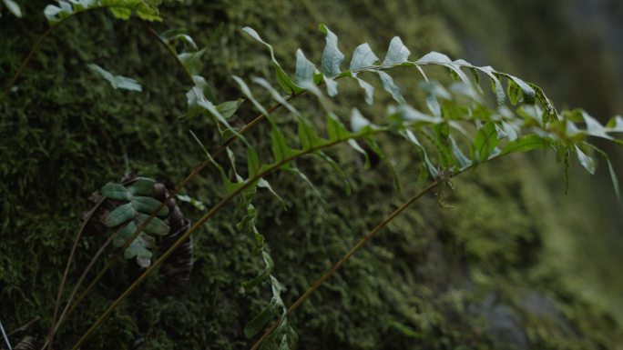 这一领域的考古学研究。