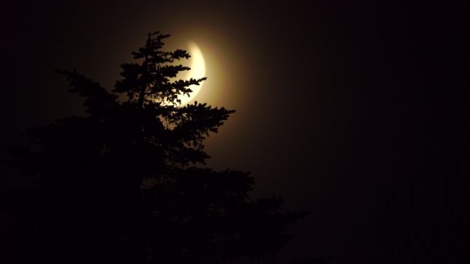 月亮在库纳希尔岛（千岛群岛）