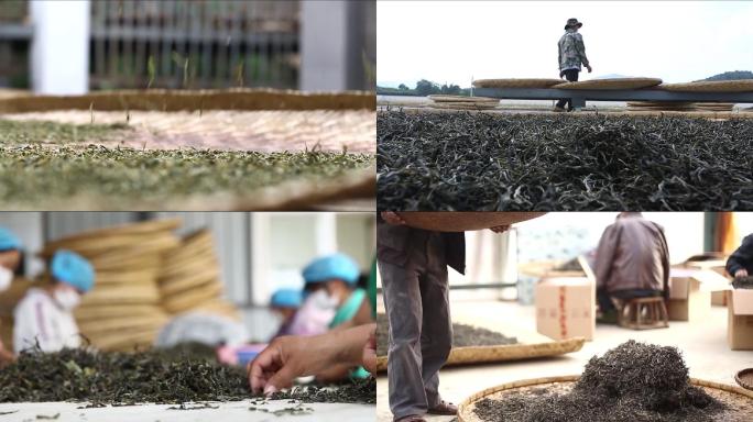 【原创】普洱茶毛茶晒青