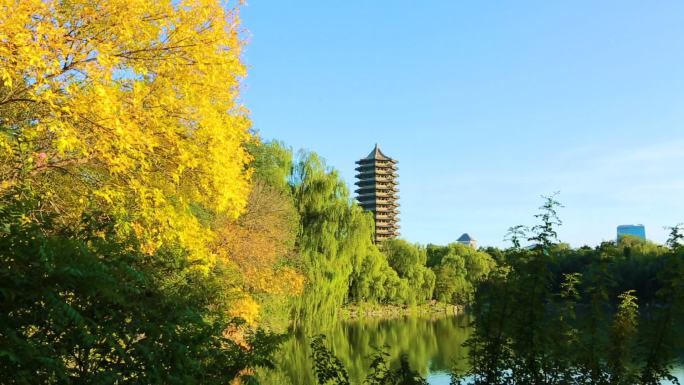 校园美景 北京大学 博雅塔 著名地点