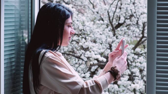 春天，年轻女子在窗前用手机放松。背景是盛开的果树。