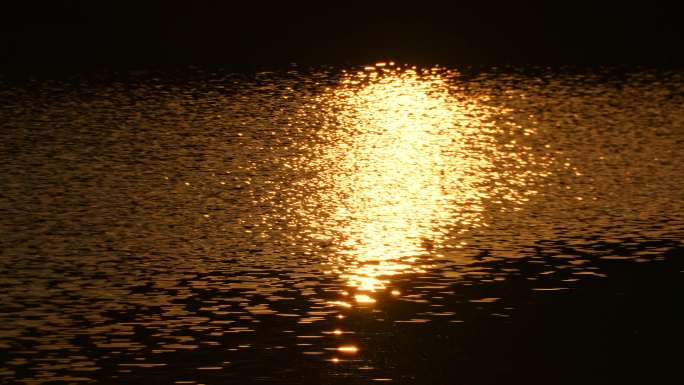 金色水面湖面水l粼粼光波纹