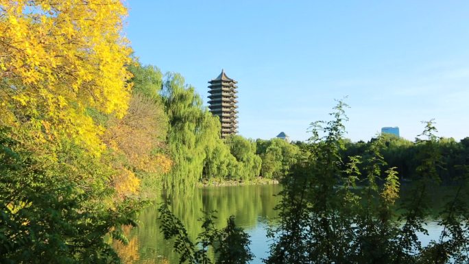 北京大学 博雅塔 高等学府 校园风光