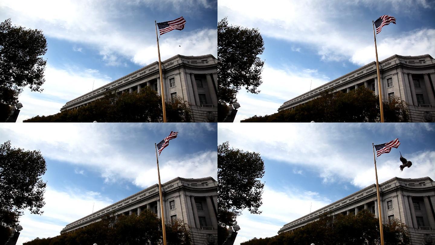 国旗及政府大楼旗帜