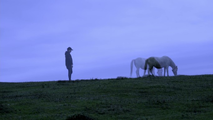 草原傍晚马与人的剪影孤独氛围感素材
