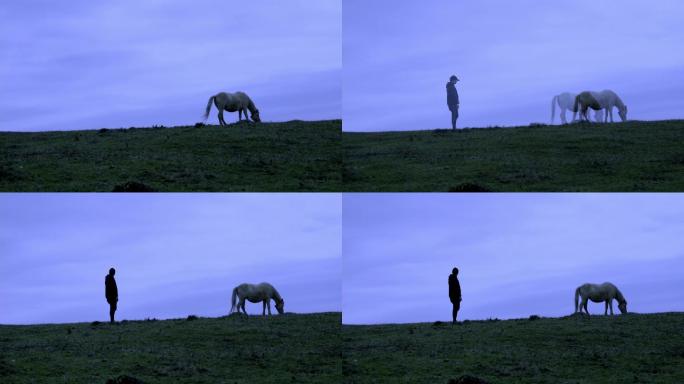 草原傍晚马与人的剪影孤独氛围感素材