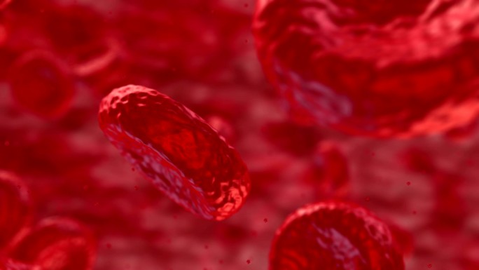 血管-HD血循环微循环红色血小板医疗治疗