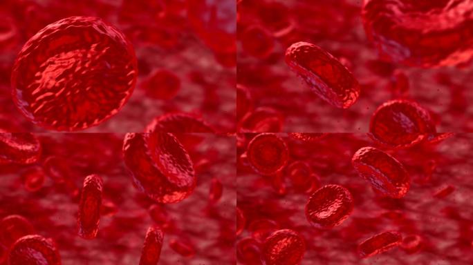 血管-HD血循环微循环红色血小板医疗治疗