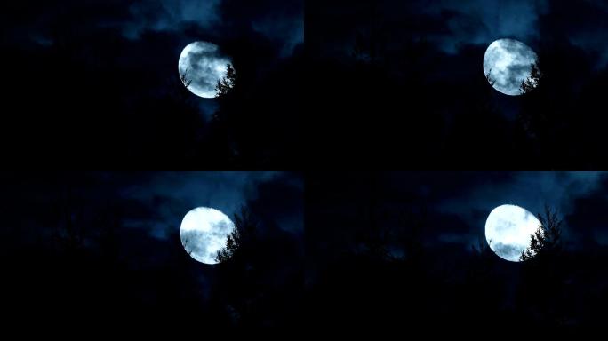 月亮在树后移动中秋圆月僵尸片